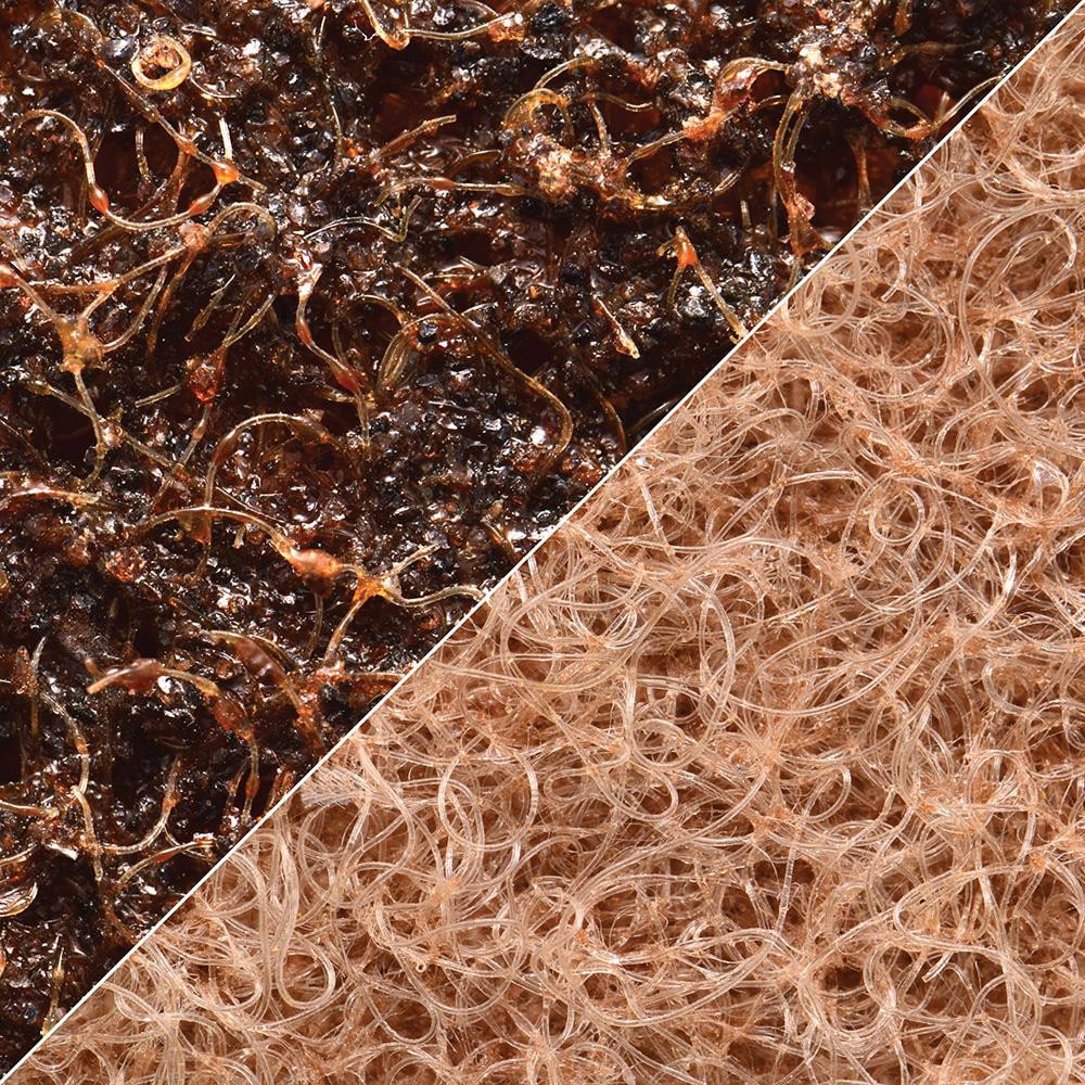 Abrasive Belt: 1-1/2" Wide, 18-15/16" OAL, Aluminum Oxide