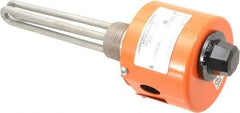 Value Collection - 2 Element, 6-1/8" Immersion Length, Standard Housing, Stainless Steel Pipe Plug Immersion Heater - 1 Phase, 120 Volt, 1,500 Watt, 66 Watts/Sq In, Stainless Steel Plug - Apex Tool & Supply