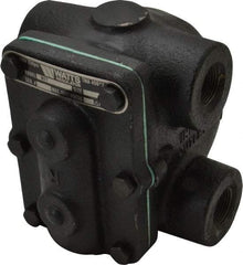 Watts - 4 Port, 3/4" Pipe, Cast Iron Float & Thermostatic Steam Trap - 15 Max psi - Apex Tool & Supply