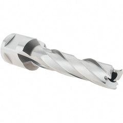 Hougen - 31/64" Diam x 2" Deep High Speed Steel Annular Cutter - Apex Tool & Supply