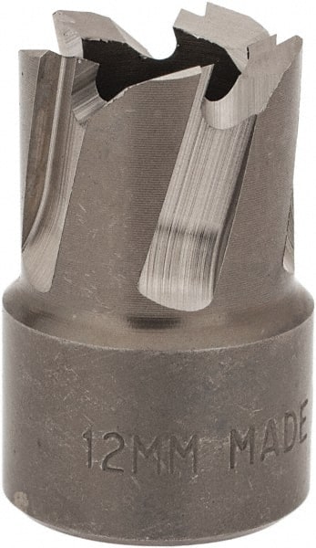 Hougen - 12mm Diam x 1/4" Deep High Speed Steel Annular Cutter - Apex Tool & Supply