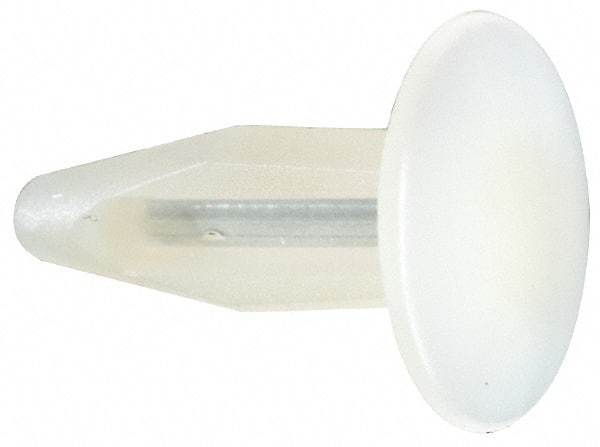 Made in USA - 1/4" to 0.26" Hole Diam, 7/8" OAL, Arrow Shank, Nylon Panel Rivet - 0.81" Length Under Head, 0.36" to 0.38" Material Thickness, 0.615" Head Diam - Apex Tool & Supply