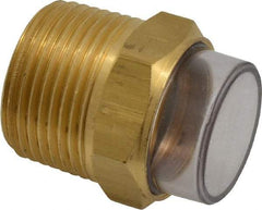 Trico - 2" Sight Diam, 1" Thread, 1-11/16" OAL, Viewport Sight Glass & Flow Sight - 1-5/16" Hex Head, With 3-D Lens - Apex Tool & Supply