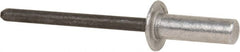 RivetKing - Size 66 Dome Head Aluminum Closed End Sealing Blind Rivet - Apex Tool & Supply