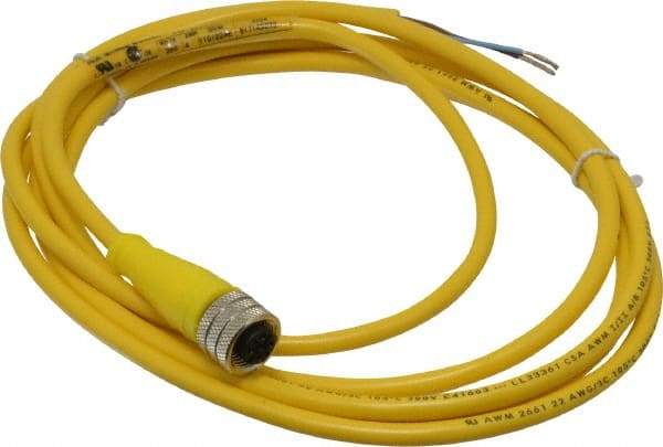 Brad Harrison - 4 Amp, M12 Female Straight to Pigtail Cordset Sensor and Receptacle - 250 VAC/VDC, 2m Cable Length, IP67 Ingress Rating - Apex Tool & Supply