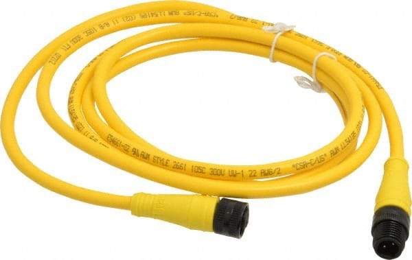 Brad Harrison - Female to Male Cordset Sensor and Receptacle - 250 VAC/VDC, 6 Ft. Long Cable, IP68 Ingress Rating - Apex Tool & Supply