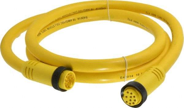 Brad Harrison - 7 Amp, Female Straight, Male Straight Cordset Sensor and Receptacle - 600 Volt, 1.83m Cable Length, IP67 Ingress Rating - Apex Tool & Supply