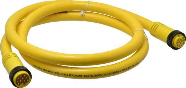 Brad Harrison - 5 Amp, Female Straight, Male Straight Cordset Sensor and Receptacle - 600 Volt, 1.83m Cable Length, IP67 Ingress Rating - Apex Tool & Supply