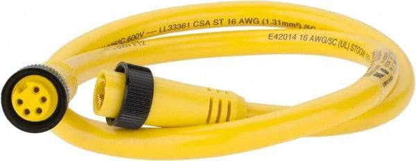 Brad Harrison - 8 Amp, Female Straight, Male Straight Cordset Sensor and Receptacle - 600 Volt, 0.91m Cable Length, IP67 Ingress Rating - Apex Tool & Supply