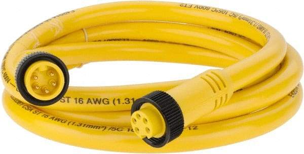Brad Harrison - 8 Amp, Female Straight, Male Straight Cordset Sensor and Receptacle - 600 Volt, 1.83m Cable Length, IP67 Ingress Rating - Apex Tool & Supply