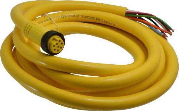 Brad Harrison - 7 Amp, Female Straight to Pigtail Cordset Sensor and Receptacle - 600 Volt, 3.66m Cable Length, IP67 Ingress Rating - Apex Tool & Supply