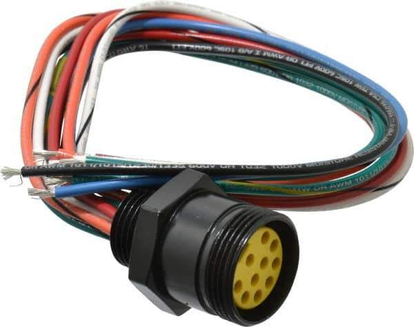 Brad Harrison - 7 Amp, Female Straight Receptacle - 600 VAC/VDC, 0.31m Cable Length, IP67 Ingress Rating - Apex Tool & Supply