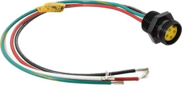 Brad Harrison - 10 Amp, Female Straight Receptacle - 600 VAC/VDC, 0.31m Cable Length, IP67 Ingress Rating - Apex Tool & Supply