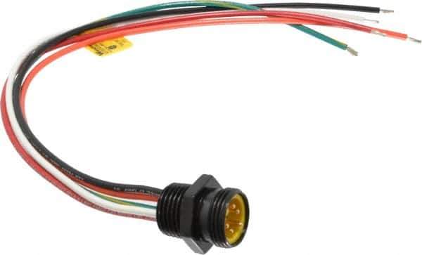 Brad Harrison - 8 Amp, Male Straight Receptacle - 600 VAC/VDC, 0.31m Cable Length, IP67 Ingress Rating - Apex Tool & Supply
