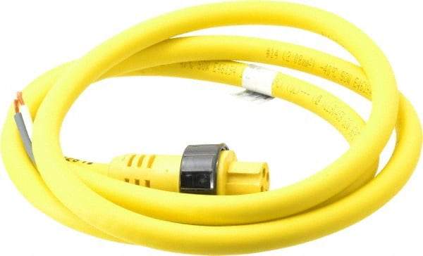 Brad Harrison - 15 Amp, Female Straight to Pigtail Cordset Sensor and Receptacle - 600 Volt, 1.83m Cable Length, IP67 Ingress Rating - Apex Tool & Supply