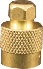 Milton - Screwdriver Type Valve Cap - For Large Bore Tire Valves - Apex Tool & Supply