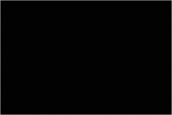 Tape Logic - 6" Long, Black Paper Inventory Labels - For Multi-Use - Apex Tool & Supply
