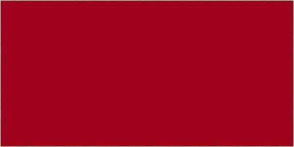 Tape Logic - 6" Long, Red Paper Inventory Labels - For Multi-Use - Apex Tool & Supply
