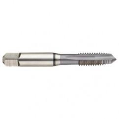 41276 2B 3-Flute Cobalt Black Ring Spiral Point Plug Tap-MolyGlide - Apex Tool & Supply