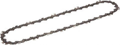 EGO Power Equipment - 10" Long Pole Saw Chain - For PSA1000 - Apex Tool & Supply