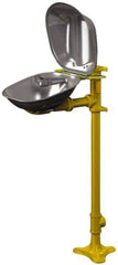 Bradley - Pedestal Mount, Stainless Steel Bowl, Eyewash Station - Apex Tool & Supply