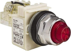 Schneider Electric - 24-28 VAC/VDC Red Lens Indicating Light - Screw Clamp Connector - Apex Tool & Supply