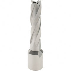 Hougen - 33/64" Diam x 2" Deep High Speed Steel Annular Cutter - Apex Tool & Supply