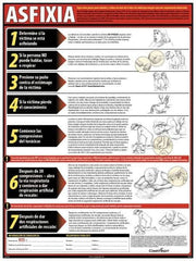ComplyRight - Regulatory Compliance General Safety & Accident Prevention Training Kit - Spanish, 18" Wide x 24" High - Apex Tool & Supply