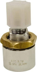 Acorn Engineering - Wash Fountain Straight Nozzle Assembly - For Use with Acorn Washfountains - Apex Tool & Supply