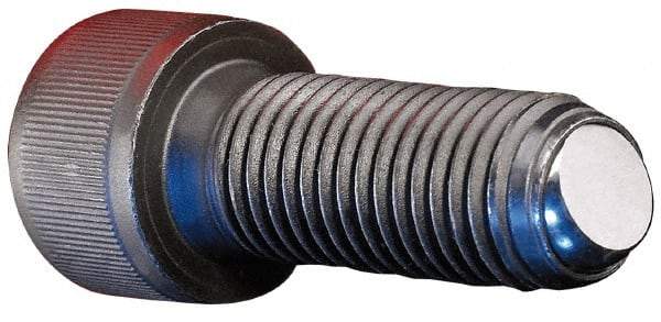 Gibraltar - 2" OAL, 1/2-13, Stainless Steel, Headed Plain Flat Face Ball End Clamping Screw - 0.29" Ball Diam - Apex Tool & Supply