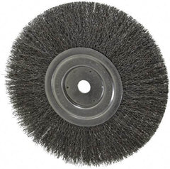 Weiler - 8" OD, 5/8" Arbor Hole, Crimped Steel Wheel Brush - 1/2" Face Width, 2-1/16" Trim Length, 0.0118" Filament Diam, 6,000 RPM - Apex Tool & Supply