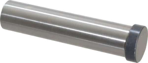 Dayton Lamina - 7/8" Head Diam, 3/4" Shank Diam, Basic Head, M2 Grade High Speed Steel, Solid Mold Die Blank & Punch - 1/4" Head Height, 3-1/2" OAL, Blank Punch, Regular (KPB) Series - Apex Tool & Supply