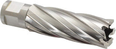 Hougen - 7/8" Diam x 2" Deep High Speed Steel Annular Cutter - Apex Tool & Supply