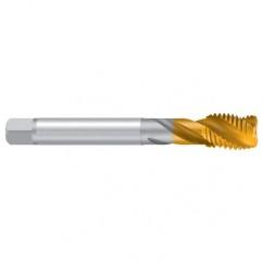 M12-ISO2/6H 2ENORM TiN Sprial Flute Tap - Apex Tool & Supply