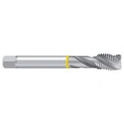G 1–3/8 ISO 228 2ENORM BSPP Straight Flute Pipe Tap - Apex Tool & Supply