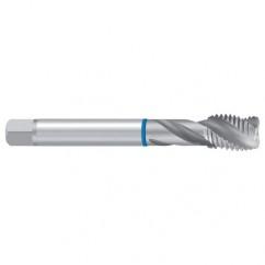 G 1/4 ISO228 2ENORM-VA Sprial Flute Tap - Apex Tool & Supply