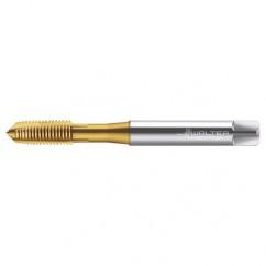 TC216-M10X1.5 6H WY80AA HS SPPT TAP - Apex Tool & Supply