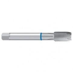STI M16–6H MOD. REK.2B-VA STI Tap - Apex Tool & Supply