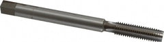 Brand: Value Collection / Part #: NH250321334P