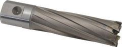 Nitto Kohki - 3/4" Diam x 2" Deep Carbide-Tipped Annular Cutter - Apex Tool & Supply
