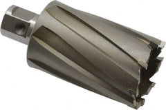 Nitto Kohki - 1-5/8" Diam x 2" Deep Carbide-Tipped Annular Cutter - Apex Tool & Supply
