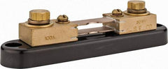 Simpson Electric - Panel Meter Portable Shunt - 100, 50 mV Drop, Screw Terminal, For Use with Falcon Series 200 mVDC Meters - Apex Tool & Supply