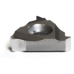 16 IR A55 K20 THREADING INSERT - Apex Tool & Supply