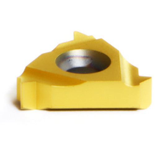 16 IR Z A60 MXC THREADING INSERT - Apex Tool & Supply