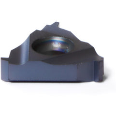 16 ER 16 STACME BMA THRD INSERT - Apex Tool & Supply