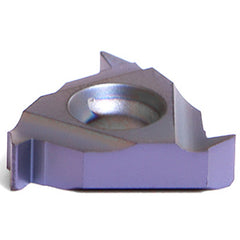 16 ER 2 SAGE BMA THREADING INSERT - Apex Tool & Supply