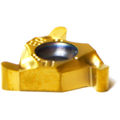 16 ER/IL R1.10 BXC THREADING INSERT - Apex Tool & Supply