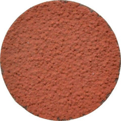 3M - 2" Disc Diam, 36 Grit, Ceramic Quick Change Disc - Type R Attaching System, Coated, Orange, Very Coarse Grade, 25,000 RPM, 777F Series - Apex Tool & Supply