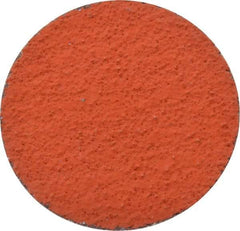 3M - 3" Disc Diam, 36 Grit, Ceramic Quick Change Disc - Type R Attaching System, Coated, Orange, Very Coarse Grade, 20,000 RPM, 777F Series - Apex Tool & Supply