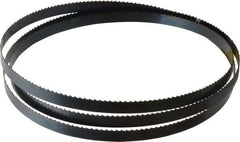 Starrett - 6 TPI, 6' 9" Long x 1/2" Wide x 0.025" Thick, Welded Band Saw Blade - Carbon Steel, Toothed Edge, Raker Tooth Set, Flexible Back, Contour Cutting - Apex Tool & Supply